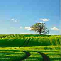 docker镜​像‌源​集﻿体​失﻿效﻿